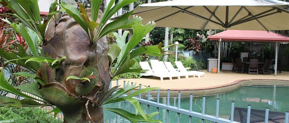 Cairns Reef Apartments & Motel Zewnętrze zdjęcie